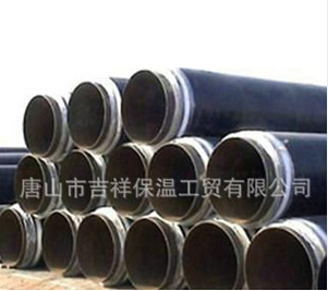 污污污视频网站的管中管